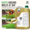 100% Castor Oil for Mole for Lawns Getting Rid of Ground Moles - Most Effective Way to Remove Gopher, Mole, Vole Castor Oil - Pet Safe, Food Grade (1 Gallon) - Image 6