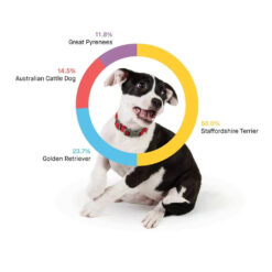 Alternative view of Embark Dog DNA Test, Breed Identification Kit