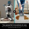 Shark? CarpetXpert? with Stainstriker? Carpet Cleaner - Image 3