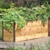 Watering Eco-Stained Elevated Planter Box - Image 9