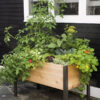 Watering Eco-Stained Elevated Planter Box - Image 8