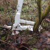 Pullerbear Tree Puller and Weed Puller - Image 8