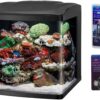 LED Tanks and Combo Kits (32 Gallon Tank/Stand Kit) - Image 2