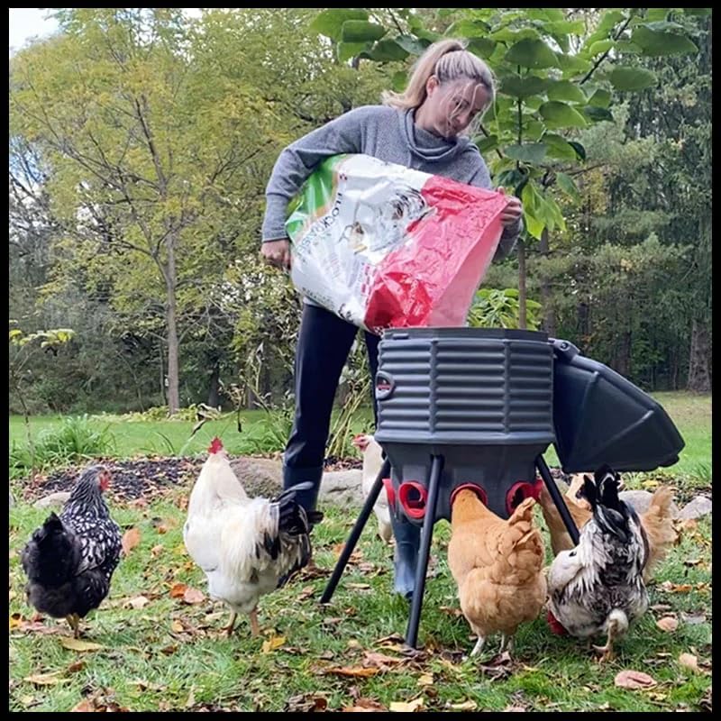 80lb Poultry Feeder, Adjustable Height, UV Stable, Weather Resistant, 8 Ports, Made in USA - Image 4