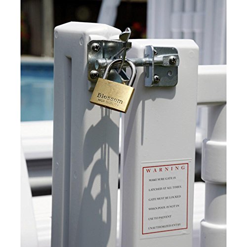 2025 Easy Step Pool Entry System with Gate - Image 3