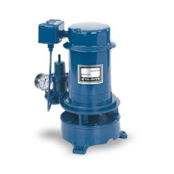 Sta-Rite MS Series 1HP Vertical Multi-Stage Deep Well Jet Pump with Cast Iron Body and Stainless Steel Shaft
