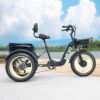 SILVERADO 20 48V/14AH 750W Foldable Fat Tire Electric Trike, 330LBS (96817362) - Image 42