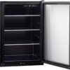 Frigidaire FRYB4623AS refrigerators|beverage center - Image 4