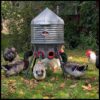 80lb Poultry Feeder, Adjustable Height, UV Stable, Weather Resistant, 8 Ports, Made in USA - Image 5