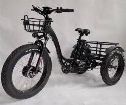 BaFang Fat Tire Electric Trike - 750W 48V All-Terrain Tricycle with Samsung Battery, Dual Suspension, Shimano 7-Speed, LCD Display, 350 lbs Capacity