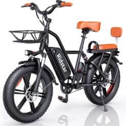 Electric Bike for Adults750W 30-70Miles 48V 15AH Removable Battery Ebike 20" x 4.0 Fat Tire Beach Commuting E-Bike 2 Seater W/Fork Suspension UL2849