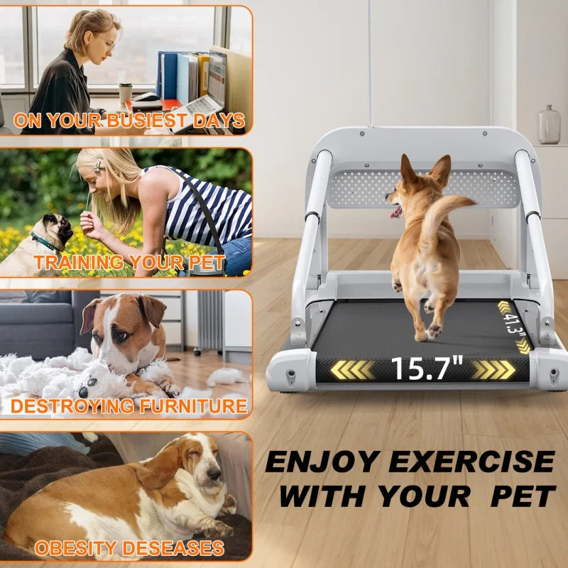 Witaxima 2025 New Quiet Smart Pet Treadmill, Adjustable Speed, Perfect for Small/Medium Dogs - Image 6