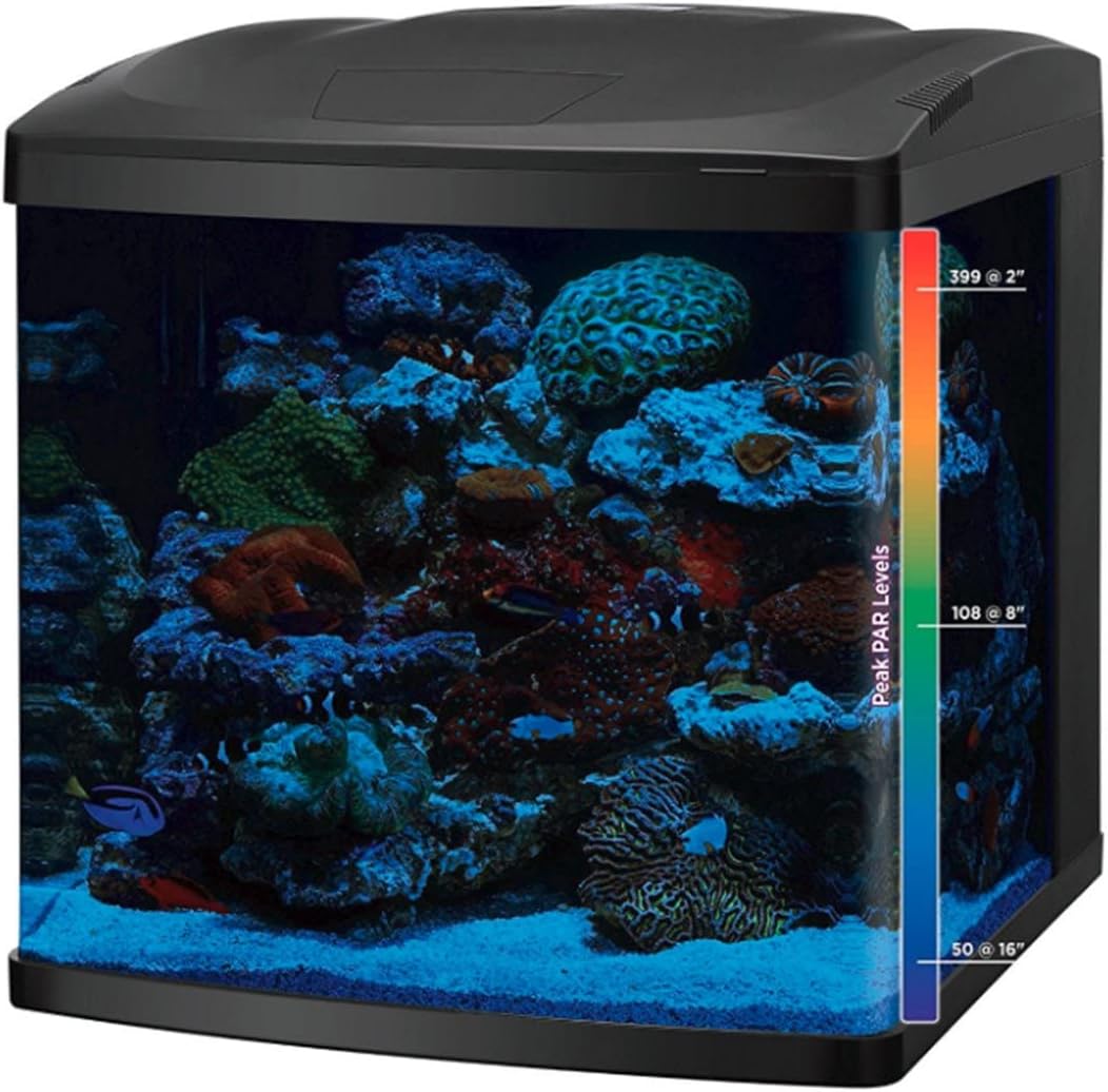 LED Tanks and Combo Kits (32 Gallon Tank/Stand Kit) - Image 4