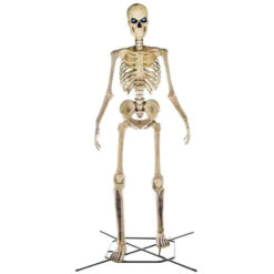 Home Accents 12 ft Giant Skeleton with LifeEyes, 95 lbs - Halloween Decoration