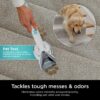 Shark CarpetXpert EX201 Carpet Cleaner, Cyan - Powerful Suction, StainStriker Tech, Pet Stain Removal, Includes Tools - Image 6